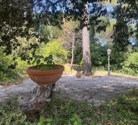 Villa Le Domaine De La Pinède