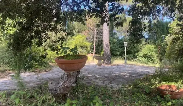 Villa Le Domaine De La Pinède